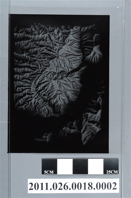 吳信政編輯地形圖局部之二 (共2張)