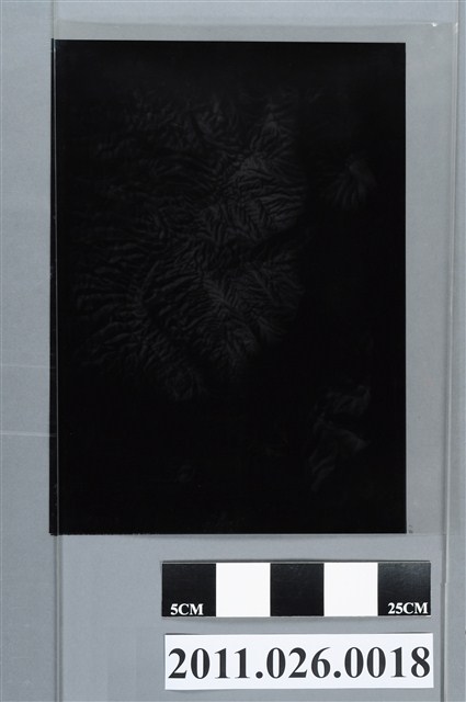 吳信政編輯地形圖局部 (共2張)