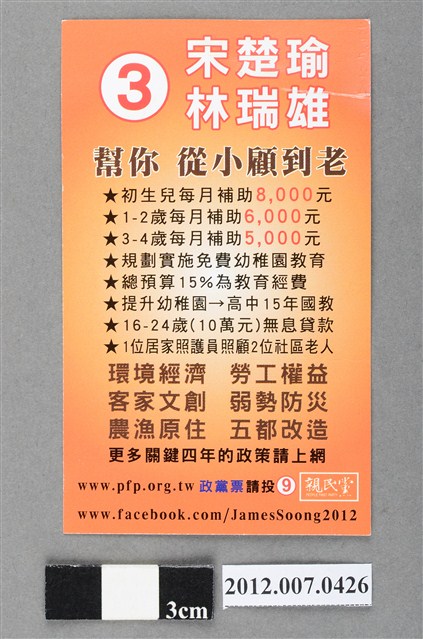 中華民國第13屆總統選舉候選人宋楚瑜與林瑞雄「勇敢做自己，票頭宋楚瑜！」競選文宣 (共2張)