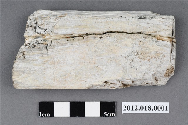 磨製石錛 (共4張)