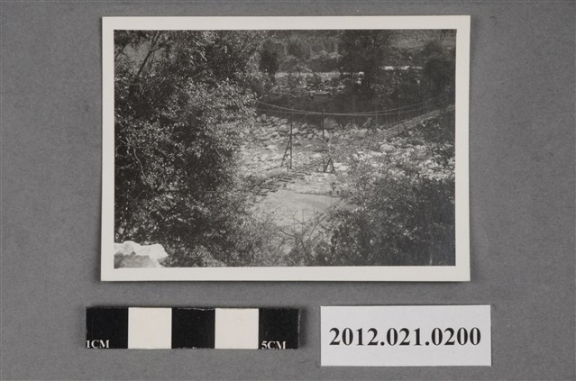 樹叢中吊橋 (共2張)