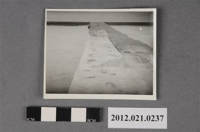 碼頭堤岸鋼條裸露 (共2張)