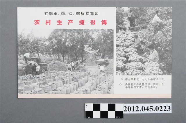 ｢打倒王張江姚反黨集團 農村生產捷報傳｣中國共產黨對臺灣政治宣傳單 (共2張)