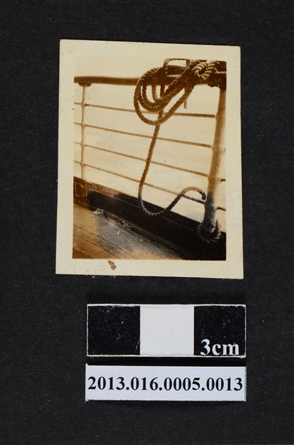 甲板一隅 (共1張)