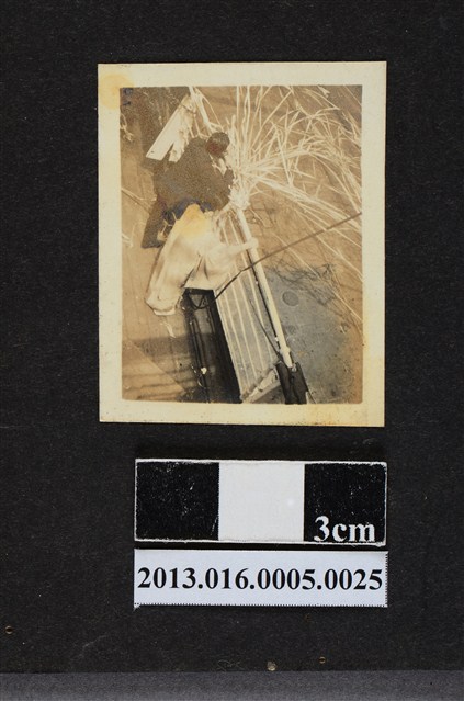 輪船離港 (共1張)