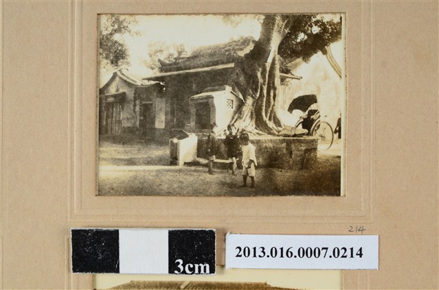 樹下孩童 (共1張)