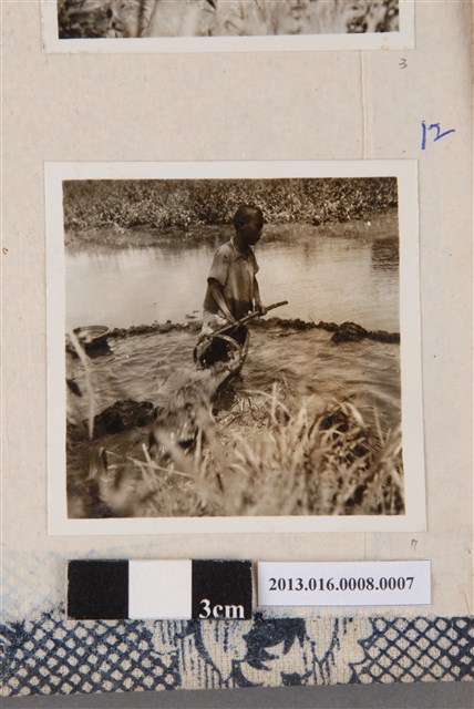 撈魚男童 (共1張)