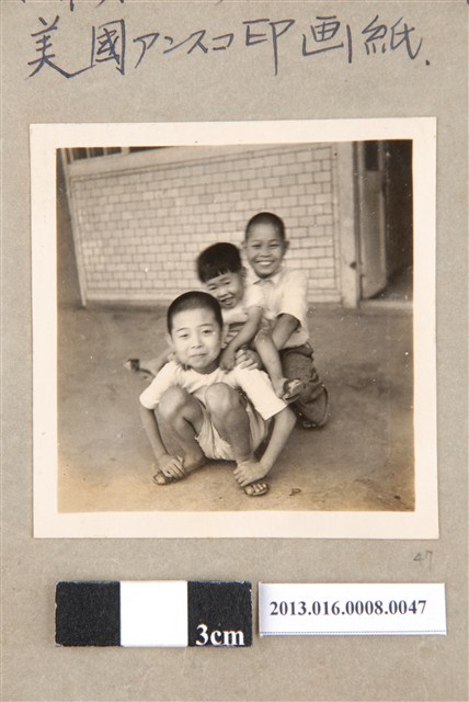 民國41年5月14日善化陳齒科醫院陳信雄等三童合照 (共1張)