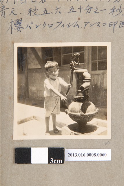 1952年6月9日陳義鴻獨照 (共1張)