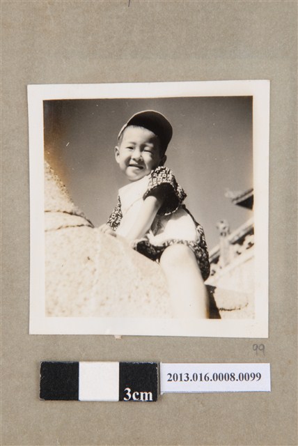 民國42年10月12日臺南赤崁樓石馬陳新平獨照 (共1張)