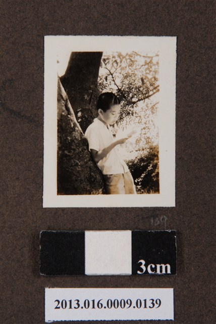 陳信雄獨照 (共1張)