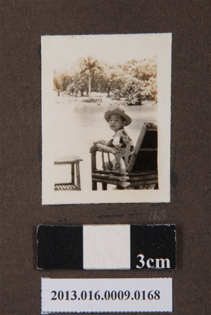 陳義鴻獨照 (共1張)