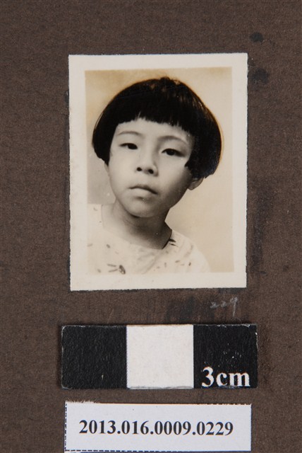 陳美利獨照 (共1張)