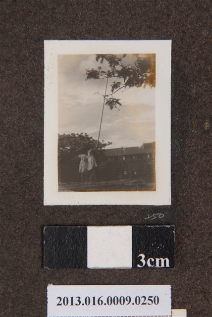 兩女背影 (共1張)