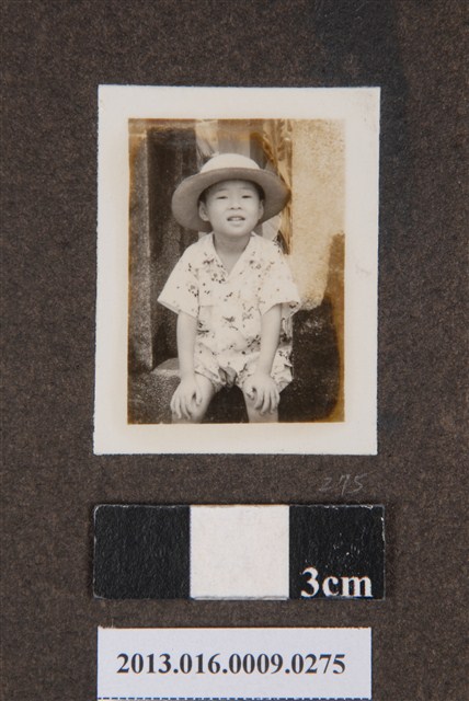 陳新平獨照 (共1張)