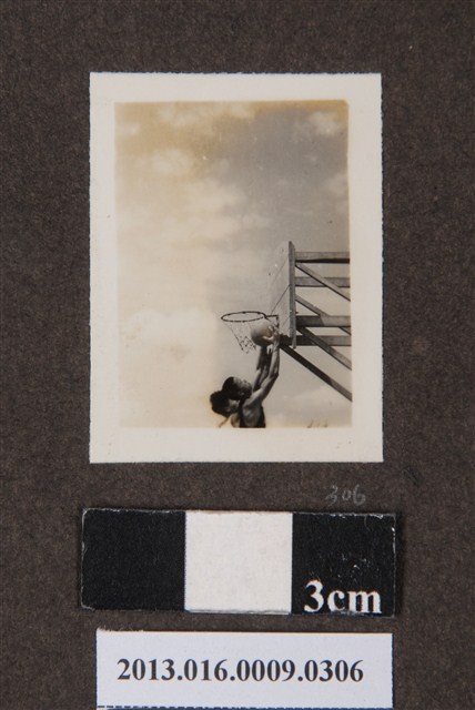 籃賽剪影 (共1張)