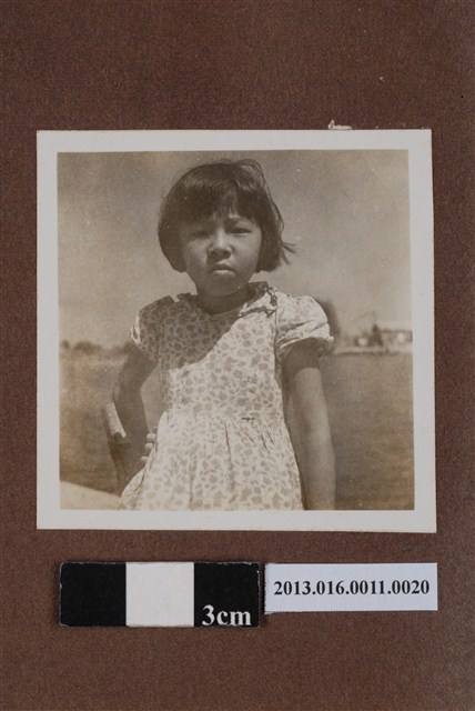 陳美利獨照 (共1張)