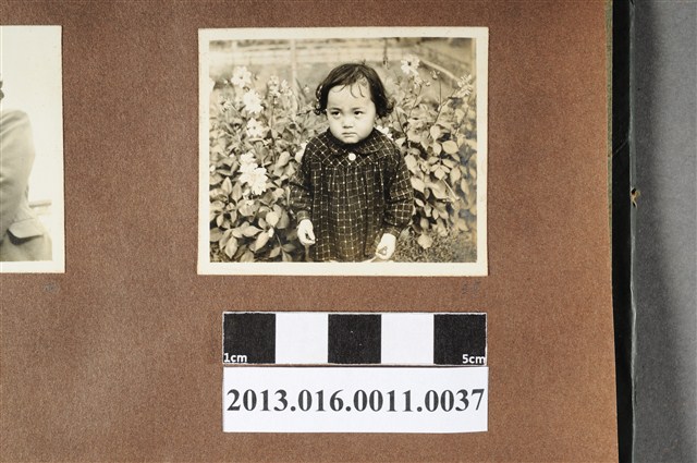 女童獨照 (共2張)