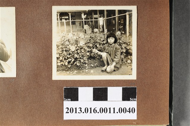 女童花叢前獨照 (共2張)