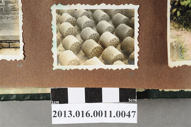 蜂窩煤炭 (共2張)