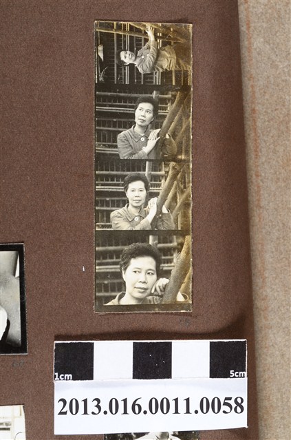 女子單人照4格 (共2張)