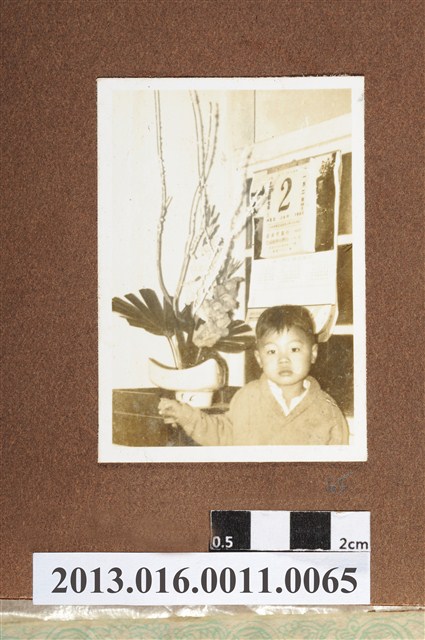 男童獨照 (共2張)