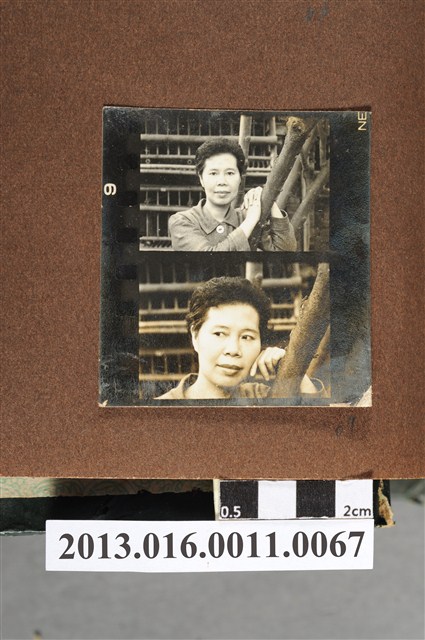 女子單人照2格 (共2張)