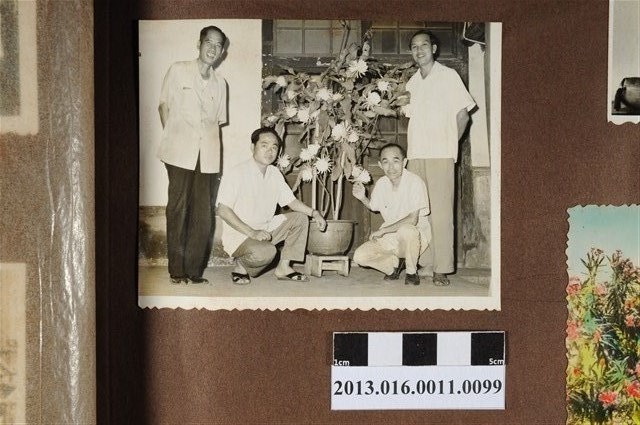 陳崧波與3名友人於曇花前合影 (共2張)