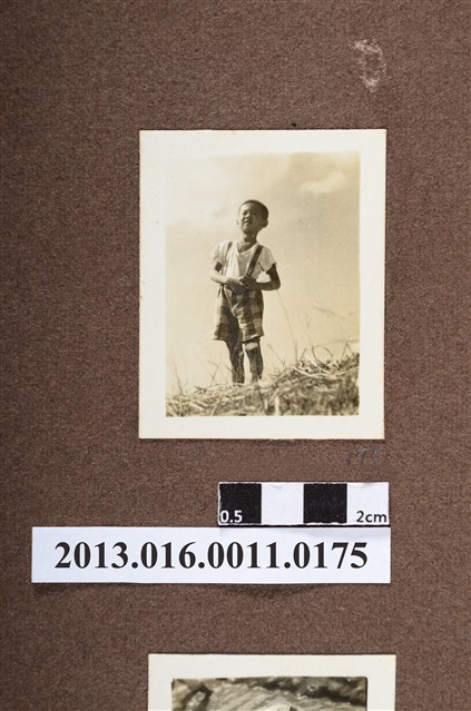 男童獨照 (共2張)