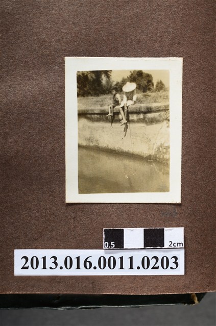 圳邊垂釣 (共2張)