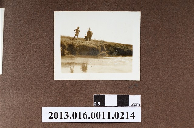 牧童與水牛 (共2張)