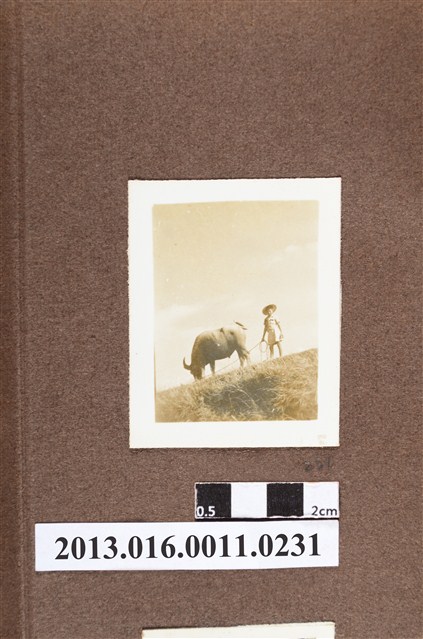 牧童與水牛 (共2張)