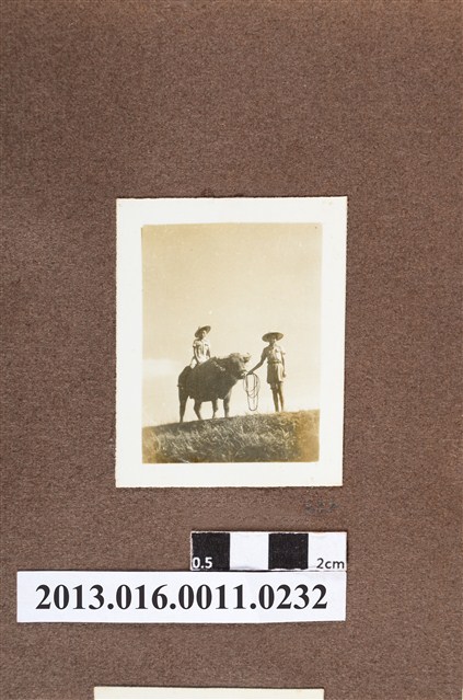 牧童2人與水牛 (共2張)