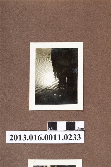 水邊一景 (共2張)