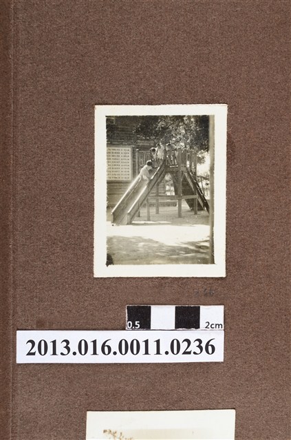 孩童於溜滑梯上嬉戲 (共2張)