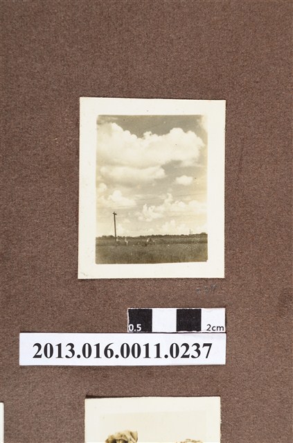 田間白雲 (共2張)