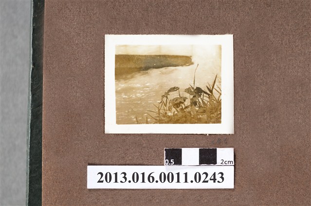 岸邊一隅 (共2張)