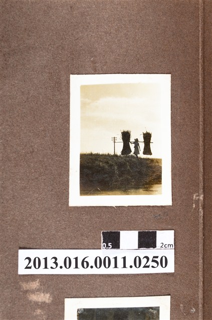 農人擔稻草束一景 (共2張)