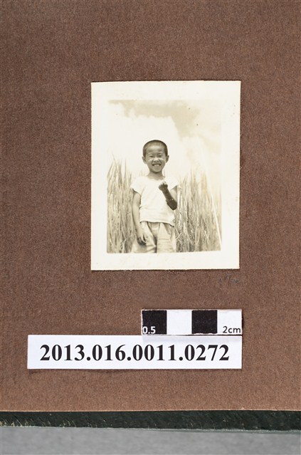 男童草叢間嬉戲 (共2張)