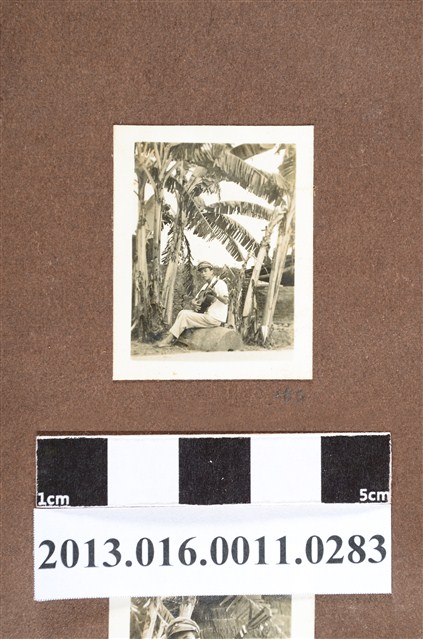 少年坐於香蕉樹下彈吉他 (共2張)