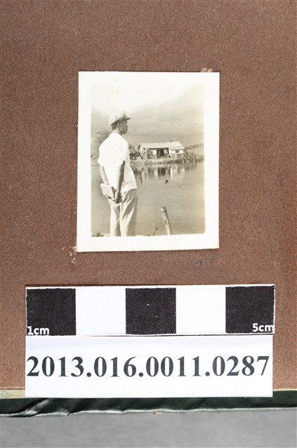 塘邊少年背影 (共2張)