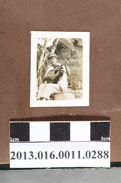 少年坐於香蕉樹下彈吉他 (共2張)