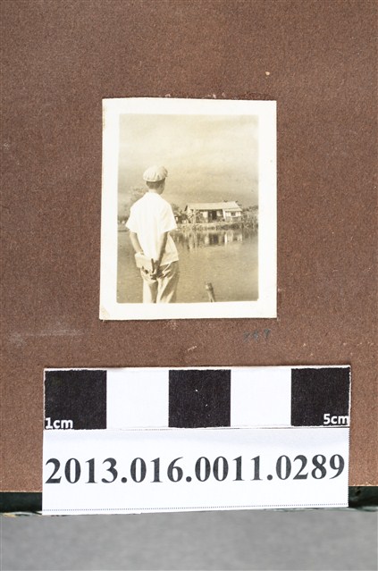 塘邊少年背影 (共2張)