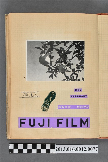 1956年2月風景照 (共2張)