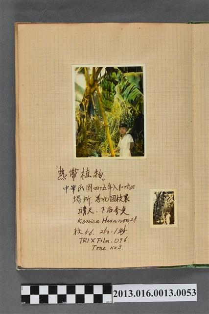 民國45年8月29日陳義鴻於善化國校獨照2張 (共2張)