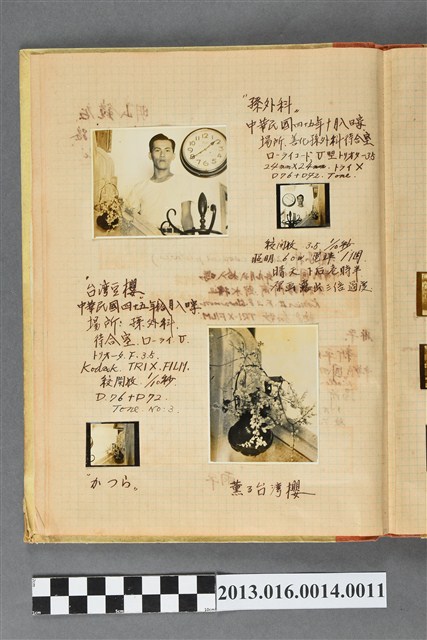 民國45年男子獨照與花瓶照4張 (共2張)