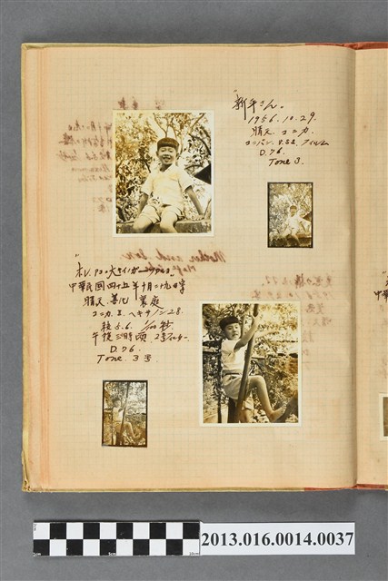 民國45年善化陳新平獨照4張 (共2張)