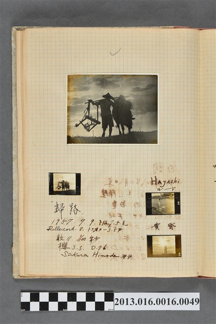 民國46年7月9日鄉間農人與水牛剪影、男子獨照4張 (共2張)