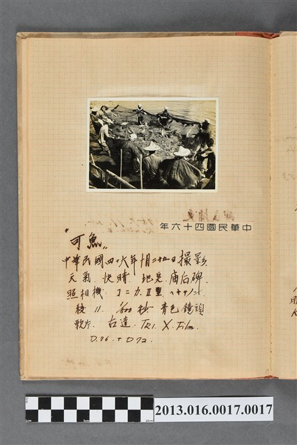 民國46年10月25日廟後埤塘捕魚一景 (共1張)