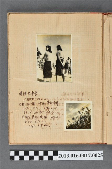 民國46年12月11日善化火車站前女子背影與芒花開一景2張 (共1張)